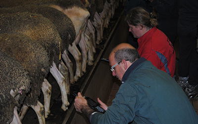 Facilité de traite