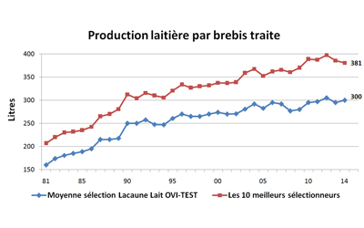 Production laitière par brebis traite