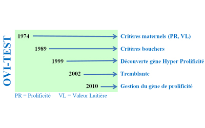 OVI-TEST