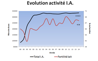Evolution activité I.A