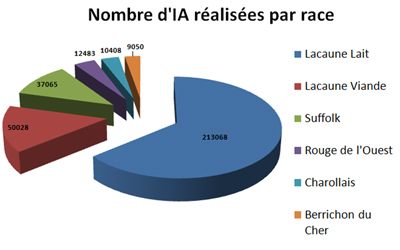 Nombre d'IA réalisées par race