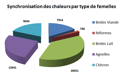 Synchronisation des chaleurs par type de femelles